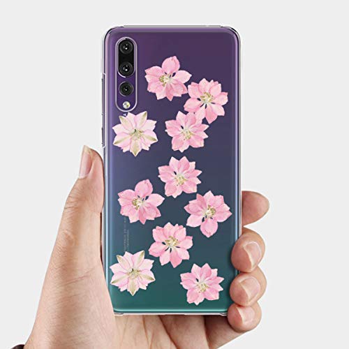 20 piezas de flores secas para decoración artesanal miniatura 6