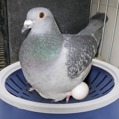 Image of UKCOCO Pigeon Nest Egg Basin Plastic Bird Nesting Bowl 3.68 Inch Lightweight Bird Breeding Nest for Pigeons and Small Birds Easy to Clean Durable Birdcage Accessory