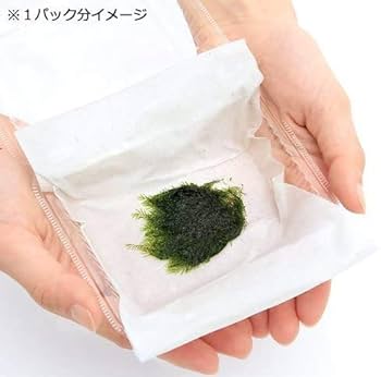 Amazon.co.jp: ホウオウゴケ（鳳凰苔）ウォーターフェザー【天然