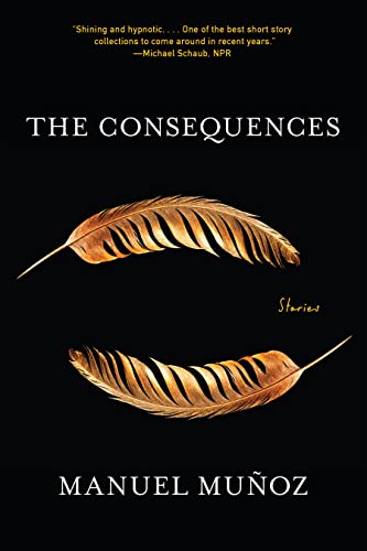 The Consequences view 2