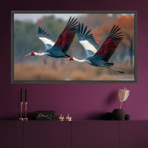Impression d'art d'animaux à plumes décoration murale oiseaux - 3