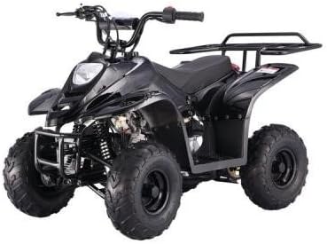 Taotao 110cc Four Wheelers 6" Tires Atvs Kids ATV Black