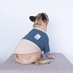 iChoue Maglione Girocollo per Cani: Pullover Invernale Caldo a Blocchi di Colore - Blu Lago e Giallo/Taglia L - Ideale per Bulldog Francese, Carlino, Boston Terrier
 - immagine 2