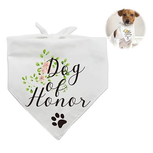 Pañuelo para el cuello para perros, pañuelo para el cuello para perros grandes, personalizado, Navidad, perro, bandana, collar con paño, bufanda para boda, collar para mascotas, perros y gatos