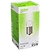 Produktbild Glühlampe, Blinkleuchte ESSENTIAL - 032109 VALEO für BMW 1502-2002 E10 1502 55 0