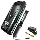 VATOSO 48V 20Ah Lithium Ebike Battery, W/ 30A BMS, for 100-1500W Electric Vehicles & Motorcycles, Includes 2A Charger XT60 Connector (with Charger)