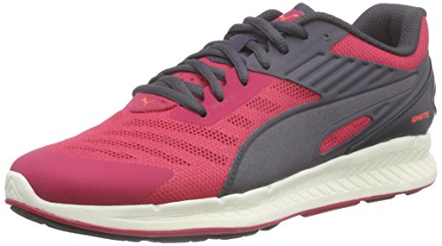 Puma Sneaker IGNITE v2 Jr Rosa/Argento EU 38
