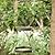 Hanging Bird Bath, Bird Bath, Hanging Bird Feeder, Bird Feeder, 2 in 1 XL Hanging Bird Feeders & Bird Baths for Outdoors,Bird Feeder Hanging Bird Feeder Tray (Green)