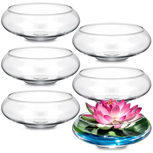 Baderke 6 Pcs Hydroponic Planter Lotus Flower Pot Planter Lotus Bowl Clear Glass Fish Bowl Vase for Planting Indoor Home Decor Water Lily Narcissus Planting Water Lily (7.09in)