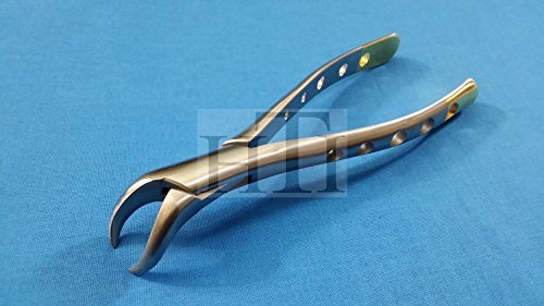 Gold Handle Premium Grade Lower MOLARS Cow-Horn Beak #23 Dental EXTRACTING Forceps (HTI BRAND)