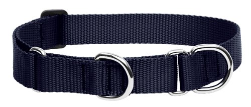 LupinePet Basics Martingale Collar