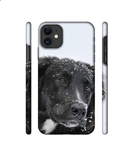 Image of Amazon Brand - Solimo Designer Labrador Dog 3D Printed Hard Back Case Mobile Cover for Apple iPhone 11