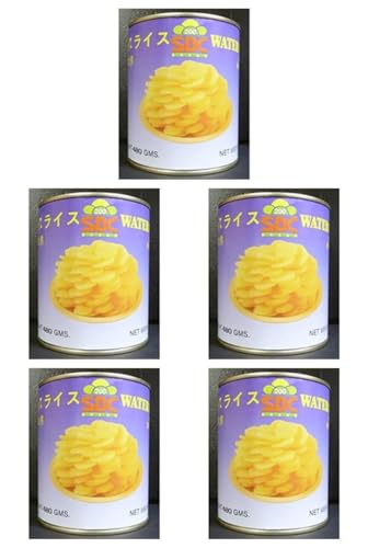 ۋ 킢XCX (^CY) 2×5 퉷(܂Ƃߔ) (VandroStEINDEXBOX)