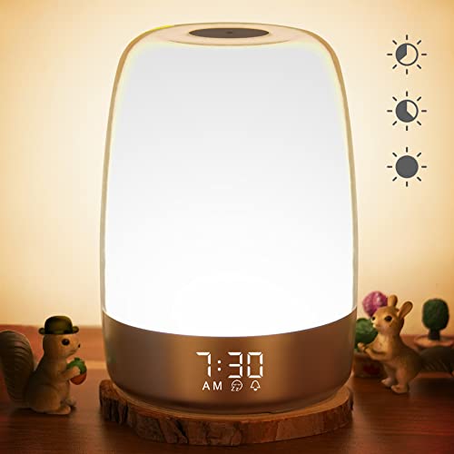Top 10 Natural Light Alarm Clocks of 2022 Katynel