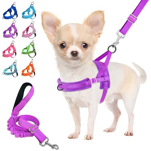 Lukovee No Pull Dog Harness and Leash Set, Soft Padded Small Dog Harness, Neck & Chest Adjustable Reflective Vest Puppy Harness with 4ft Lightweight Anti-Twist Dog Leash for Small Dogs (XS, Purple)