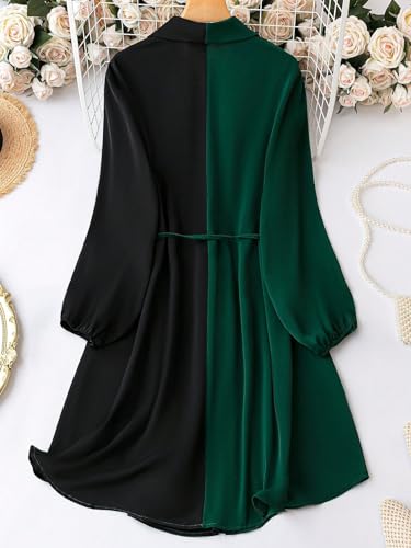 Dhruvi Trendz Women's Rayon A-Line Standard Length Dress (Dt-Wd1153_Green_2Xl)