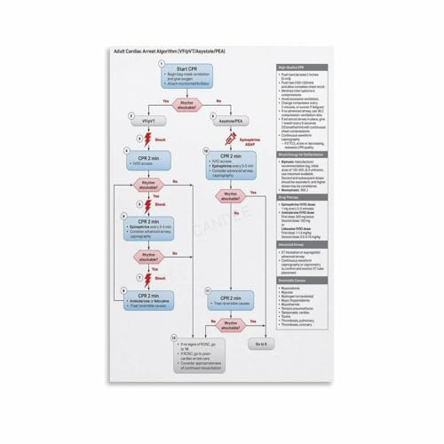 ACLS Adult Cardiac Arrest Algorithm Poster Hospital Decoration (2) Canvas