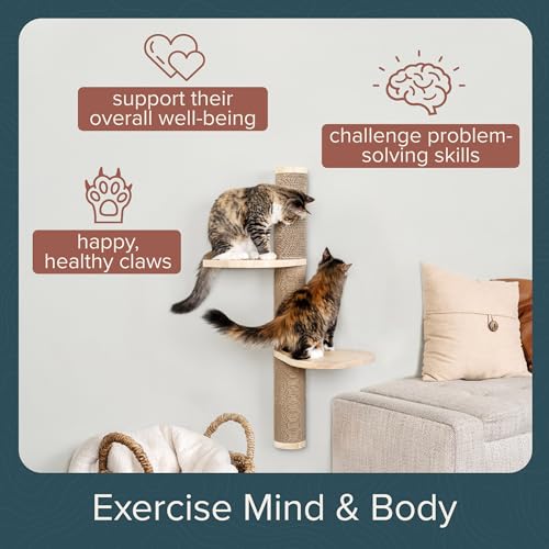 Image of Cat Climbing Wall System - Modern Floating Shelves & Perches for Cats - Sunrise Steps | Ascentials by FurHaven