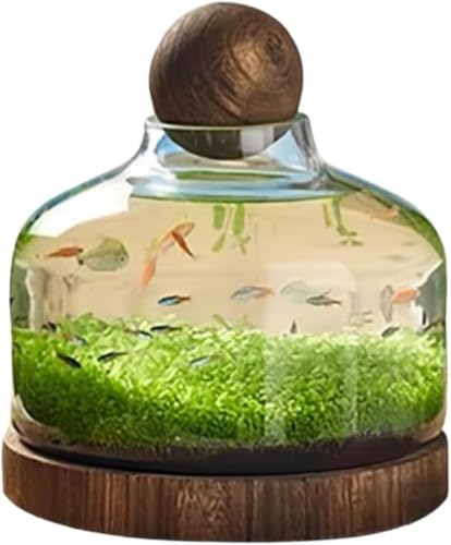 CokBluKX{g GR{g & ؐgCt afUCő@\ k͔|EANAEEԕrɑΉ eʂŃCeAɍœK (27*32CM)