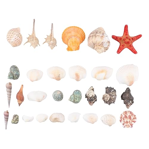 GOOHOCHY Sea Shells Combination for DIY for Craft Projects Decor Party Props (350g)