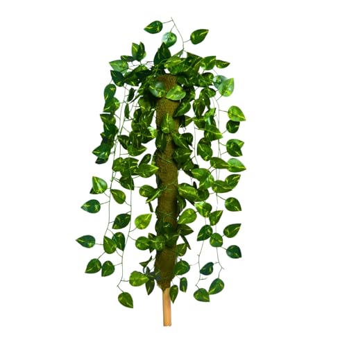 Image of fancymart Artificial Green Leaf Hanging Creeper on Moss Stick (Without Pot) - 60 cm Tall Hanging Creeper Plant for Indoor Home, Office, Restaurant & Cafe Decoration