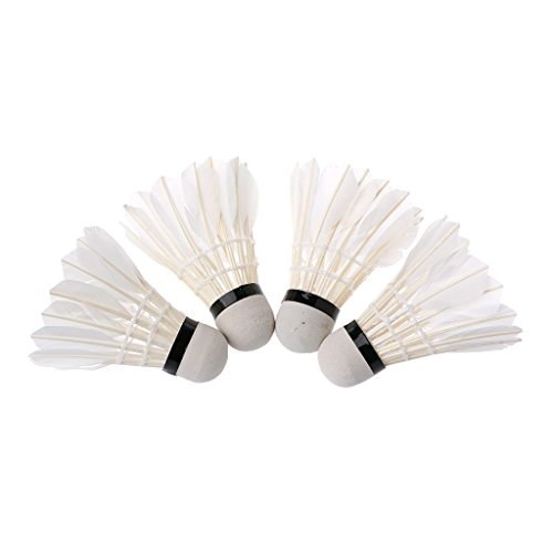 Qusinfc Juego de 4 piezas de luces LED de bádminton de colores oscuros con red