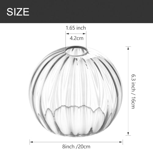 Image of Clear Glass Shade,Replacement Globe & Cover for Lighting Fixture, 8 inch Diameter, Replacement with 1.65 Inch Fitter for Wall Lamps Chandeliers or Ceiling Light (2, 8Inch - Clear Glass)