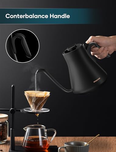 INTASTING 0.9L Gooseneck Kettle