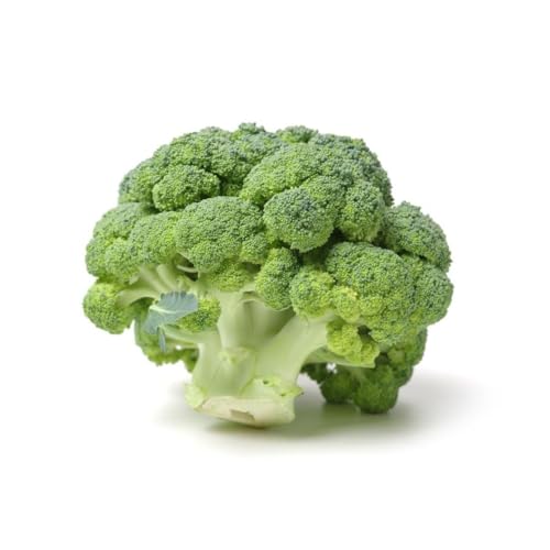 Fresh Broccoli 500g Import