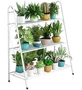 Amazon.co.jp: Poxvalzor プラントスタンド 5段 屋外 室内 室内 Amazon.co.jp: Poxvalzor プラントスタンド 5段 屋外 室内 室内