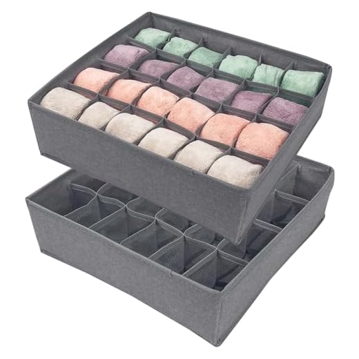 Avesteir Set di 2 organizer cassetti intimo, 24 Celle porta mutande da cassetto, Pieghevole organizzatore di biancheria intima, scatola porta calzini, per Reggiseni, Fazzoletti e Cravatte (Grigio)