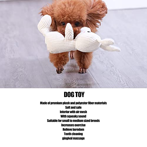 Divertenti Giocattoli da Masticare per Cani