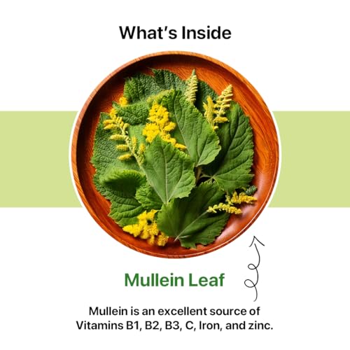 BLUE TEA - Mullein Tea - 100 gm - 100 Cups | SUPER ANTIOXIDANT | For Immunity, Lung Detox, Respiratory Health | Caffeine Free - Leaf Based - Herbal Tea - Gluten Free - Non-Bitter | Ziplock Packaging