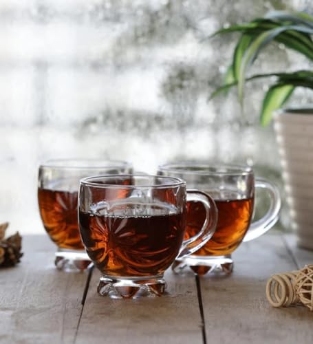 Image of VILON Italian Premium Glass Tea Cup Set | Coffee Mugs with Handle Transparent Drinking Cup for Milk, Cappuccino, Hot Chocolate & Cold Beverages | 150ml| Set of 6 (Star Teacup 150ML 6)