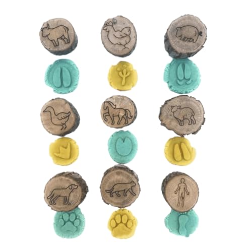 qpX^v - `[t̊yX^v c ؐNtgLbg ߋ XNbvubNpi wKANeBreB j̎qƏ̎qɍœK ۈ牀⋳ł̂J | ctwKc[ Ntg Ki pACe