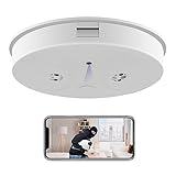 Newwings WiFi Security Camera with Smoke Detector Shape, 1080P Indoor Dome Camera with Motion Detection and Night Vision