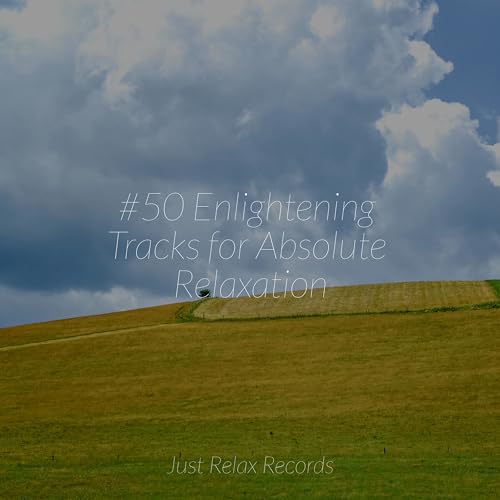Absolute Relax #50 Enlightening Tracks for Absolute Relaxation by Rest & Relax Nature ...