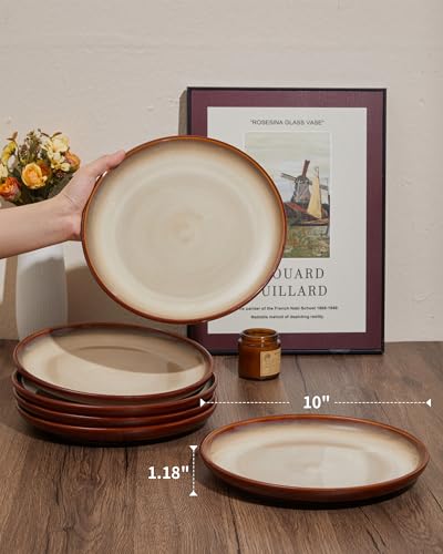 Image of Pokini Ceramic Dinner Plates Set of 6, 10inch Salad, Dessert Plates Dishes
