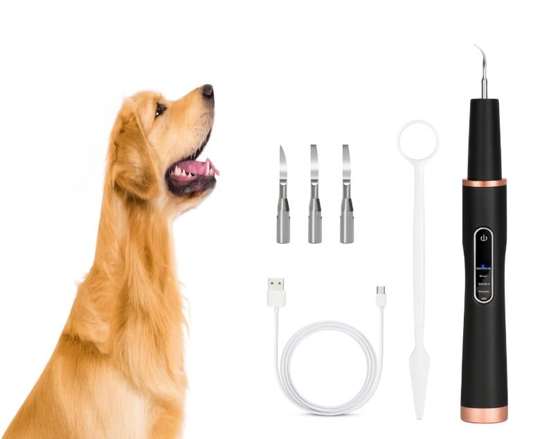 Image of Dog Teeth Cleaning Kit, Rechargeable Pet Oral Care Tool for Dogs & Cats, 5 Cleaning Modes, USB-C Rechargeable, IPX6 Waterproof, Portable Dental Care Kit for Daily Teeth Cleaning