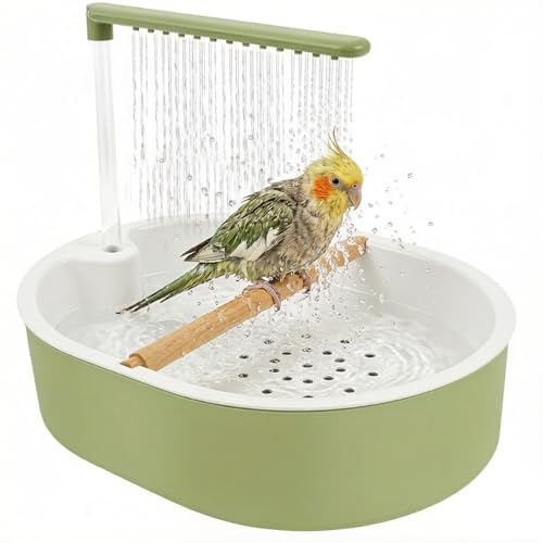 Bain automatique pour oiseaux douche pour calopsitte et pinson