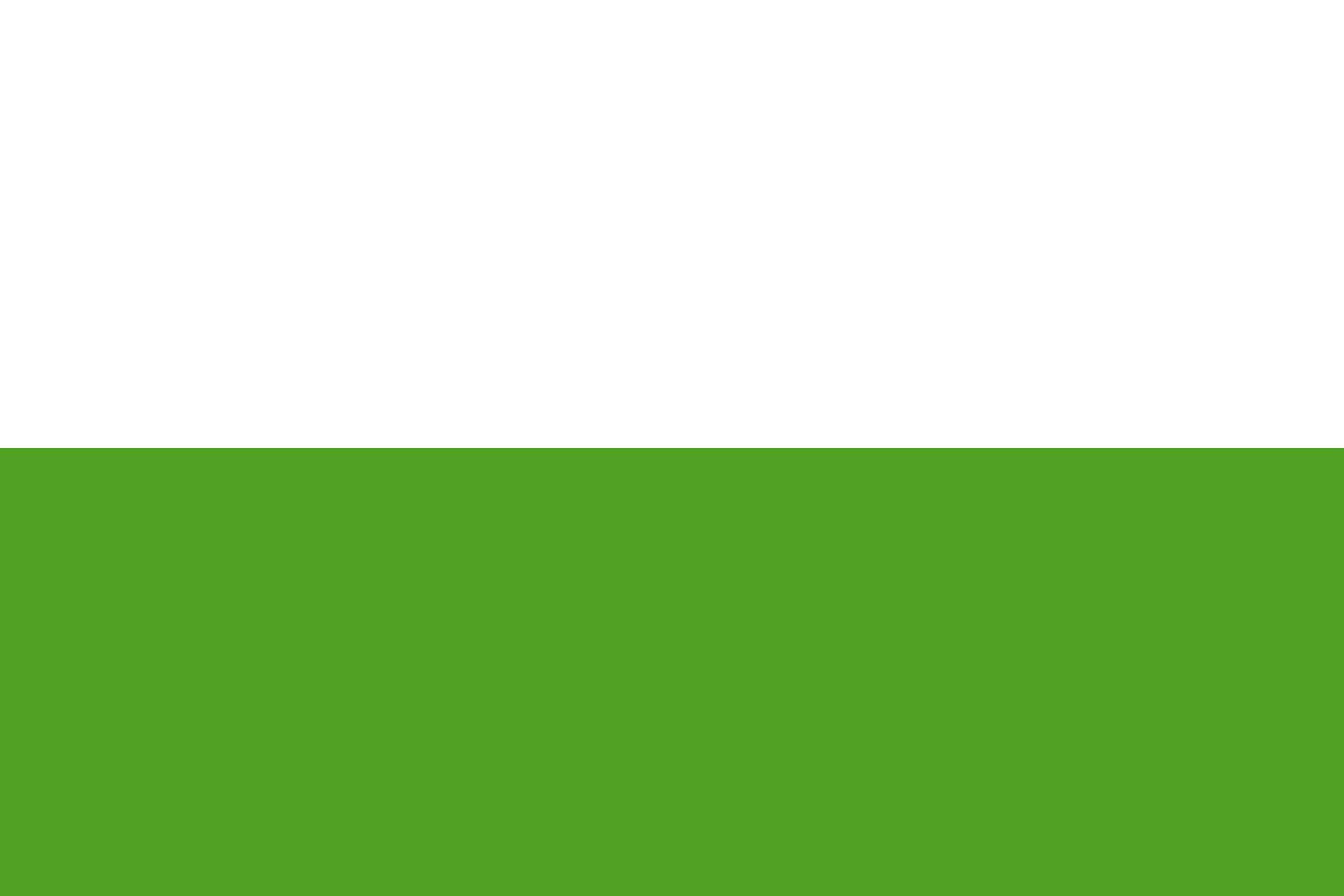 Drapeau paysage Aalten 90x150cm grand pavillon horizontal de 1.35m²