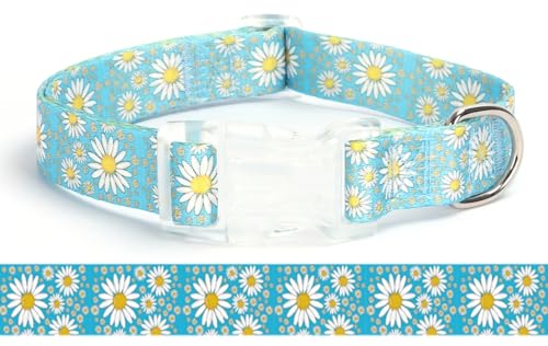 haoyueer K[hbOJ[AfCW[Aqp̂킢iC̎ցALXSp߉\\tgϋvybgXS^(Cgu[AXS)