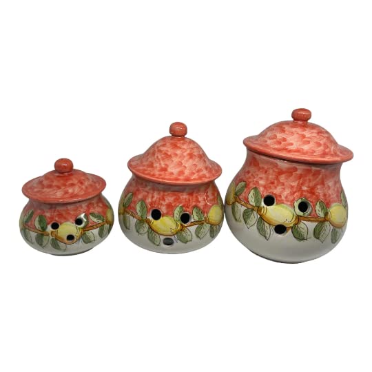 Italian Ceramic garlic keeper | Made in Italy | Garlic Onion Storage | Lemon Decor | Kitchen canister | Vietri ceramic | Handmade garlic jar (Small)