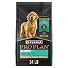 Purina pro plan high protein puppy food shredded blend chicken rice formula 34 lb bag  urban country home decor