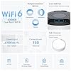 TP-Link Deco X50 AX3000 Mesh WiFi System – Ceiling/Wall-Mountable WiFi 6 Mesh, Replaces Router/Access Point/Extender, Powered, Dual 2.5G Ports, 3-Pack