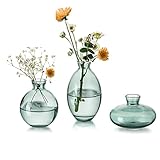 Schöne Heimtextilien: Unsere Glasvasen bestehen aus drei niedlich dekorierten kleinen Vasen in verschiedenen Formen. Sie sind unverzichtbare Heimdekorationen. Warum kaufen Sie nicht ein oder mehrere Sets zum Baden und stellen Sie sie zu Hause als Tischdekoration auf? Es ist auch ideal für die Platzierung auf schwimmenden Regalen