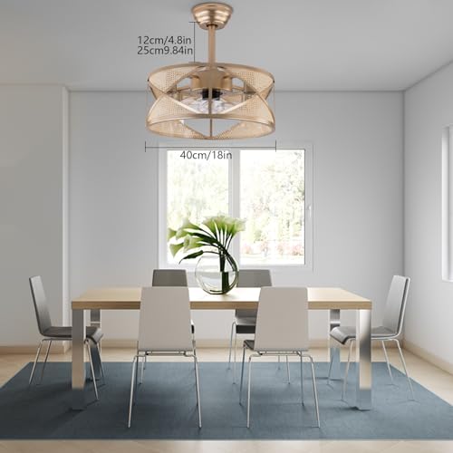 LOYALHEARTDY-Gold-Fandelier-Ceiling-Fan-18in-6-Speed-Enclosed-Caged-Ceiling-Fan-with-Lights-Remote-Control-Antique-Gold-Ceiling-Fan-Boho-Rattan-Caged-Ceiling-Fan-Light-Downrod-Mount-URF4I86GRFI8W