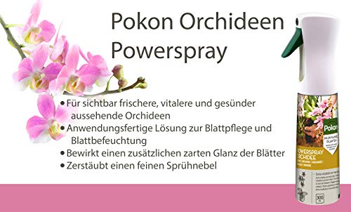 Blattglanzspray Pokon Orchideen Powerspray 300 ml