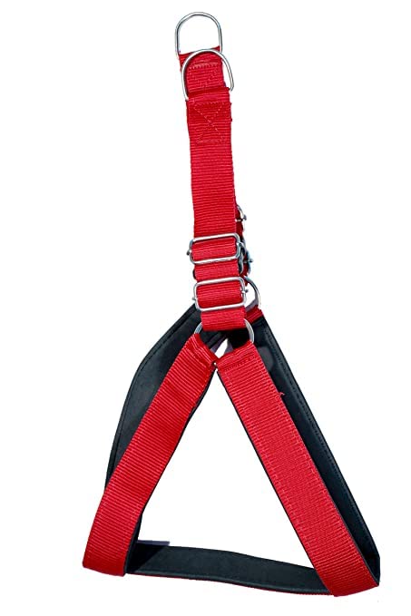 Hundur Store Dog Standard Plain Harness (Medium, Red) (B0B6WM5Z11) Amazon Price History, Amazon Price Tracker