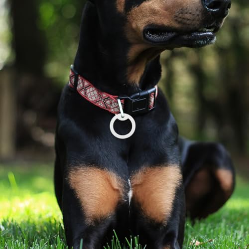 ROMISBABA Silikonhülle Für Hundemarke 6 Stück Geräuschdämpfend Und Leuchtend Im Dunkeln Schutz Für Haustier-Id-Tags Leicht Und Pflegeleicht Für Hunde Und Katzen